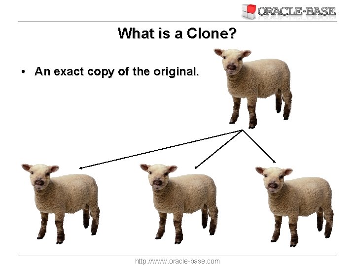 What is a Clone? • An exact copy of the original. http: //www. oracle-base.