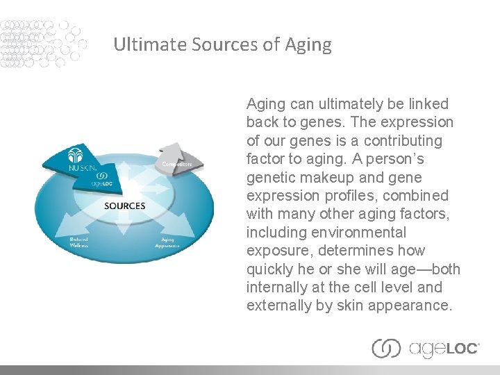 Ultimate Sources of Aging can ultimately be linked back to genes. The expression of