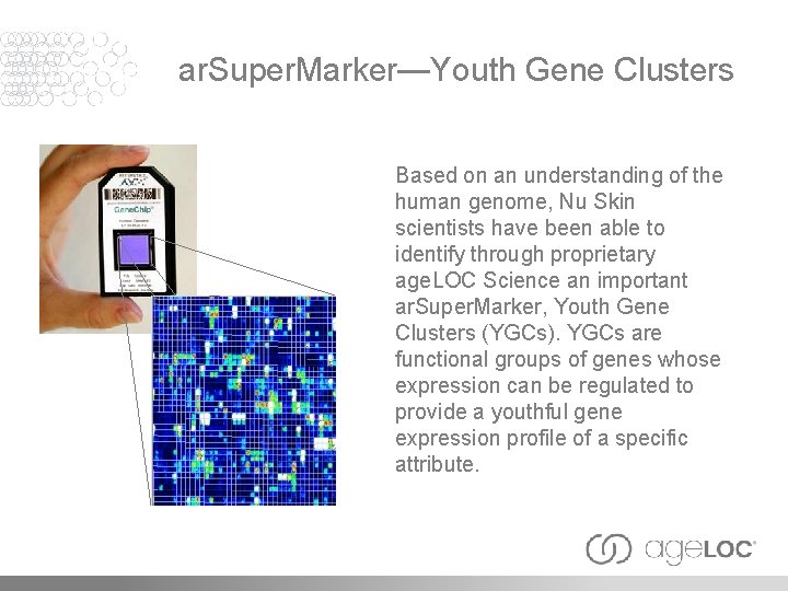 ar. Super. Marker—Youth Gene Clusters Based on an understanding of the human genome, Nu