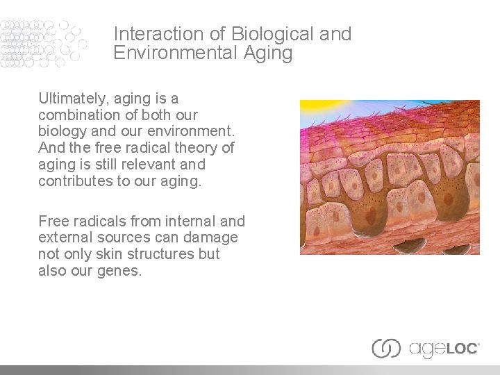 Interaction of Biological and Environmental Aging Ultimately, aging is a combination of both our