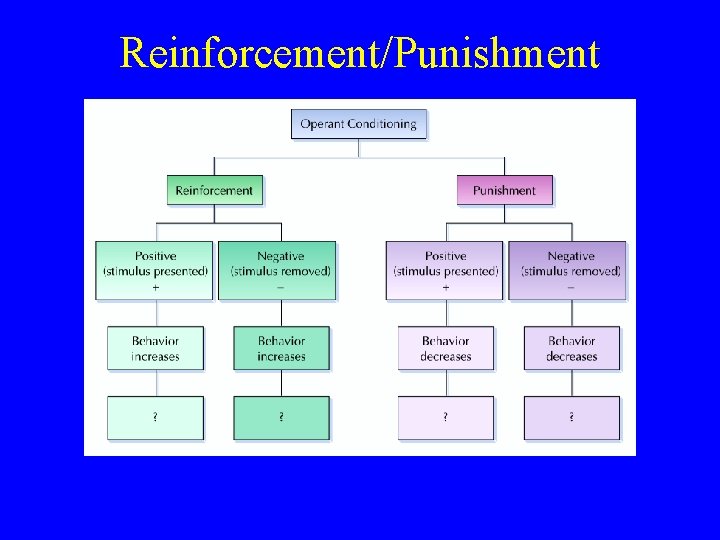 Reinforcement/Punishment 