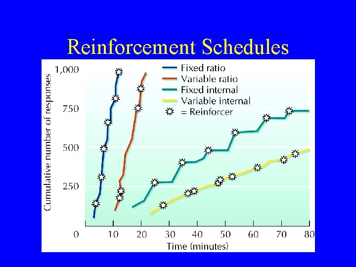 Reinforcement Schedules 