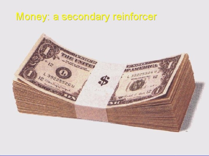 Money: a secondary reinforcer 