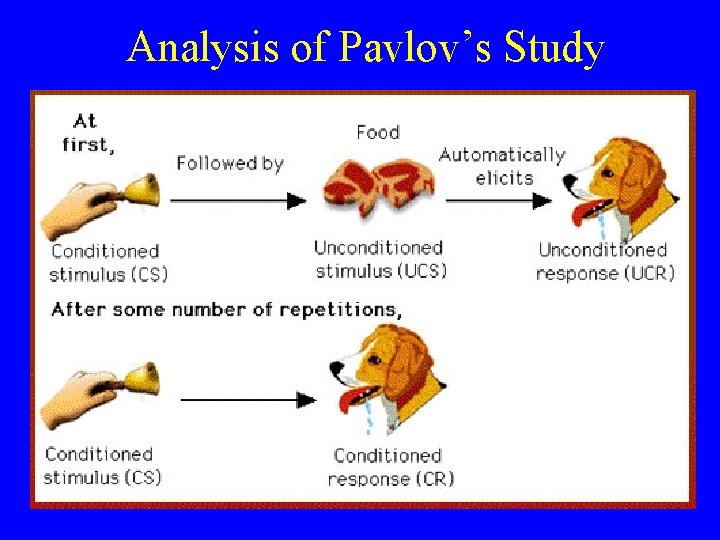 Analysis of Pavlov’s Study 