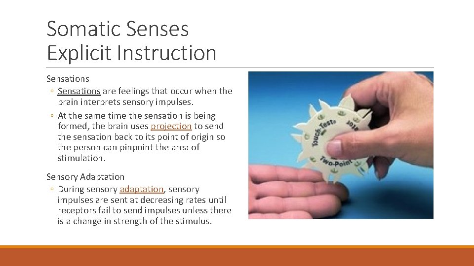 Somatic Senses Explicit Instruction Sensations ◦ Sensations are feelings that occur when the brain