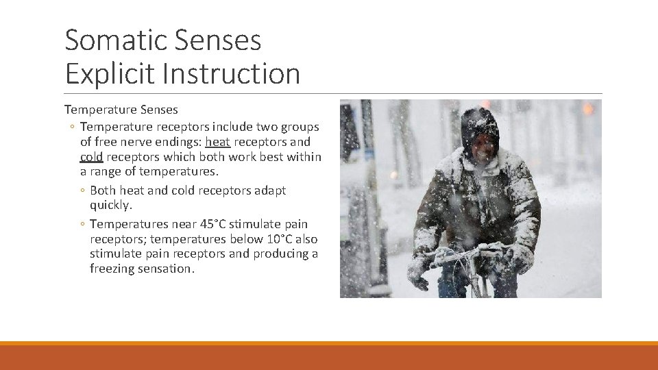 Somatic Senses Explicit Instruction Temperature Senses ◦ Temperature receptors include two groups of free