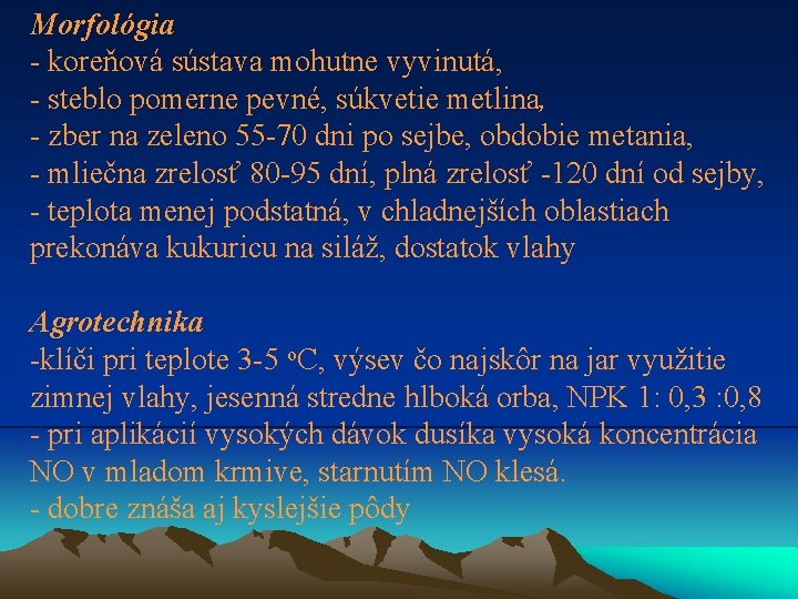 Morfológia - koreňová sústava mohutne vyvinutá, - steblo pomerne pevné, súkvetie metlina, - zber