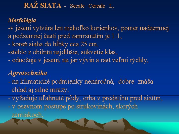 RAŽ SIATA - Secale Cereale L, Morfológia -v jeseni vytvára len niekoľko korienkov, pomer