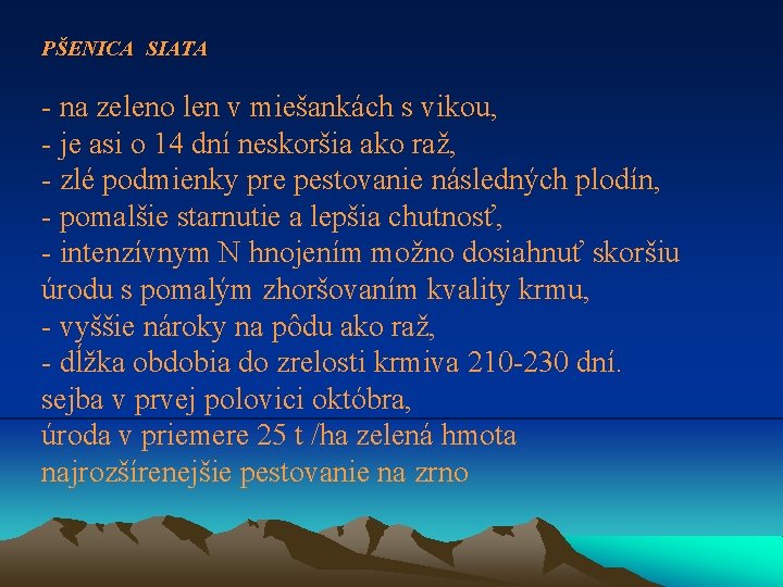 PŠENICA SIATA - na zeleno len v miešankách s vikou, - je asi o