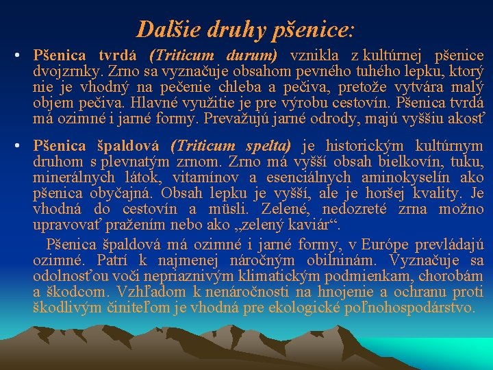 Dalšie druhy pšenice: • Pšenica tvrdá (Triticum durum) vznikla z kultúrnej pšenice dvojzrnky. Zrno