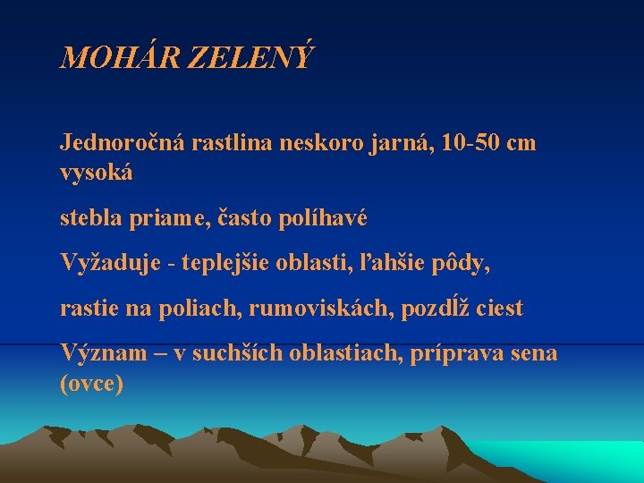 MOHÁR ZELENÝ Jednoročná rastlina neskoro jarná, 10 -50 cm vysoká stebla priame, často políhavé