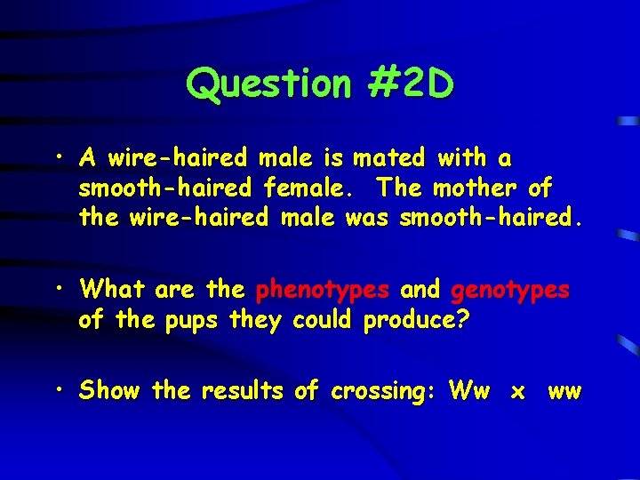 Question #2 D • A wire-haired male is mated with a smooth-haired female. The
