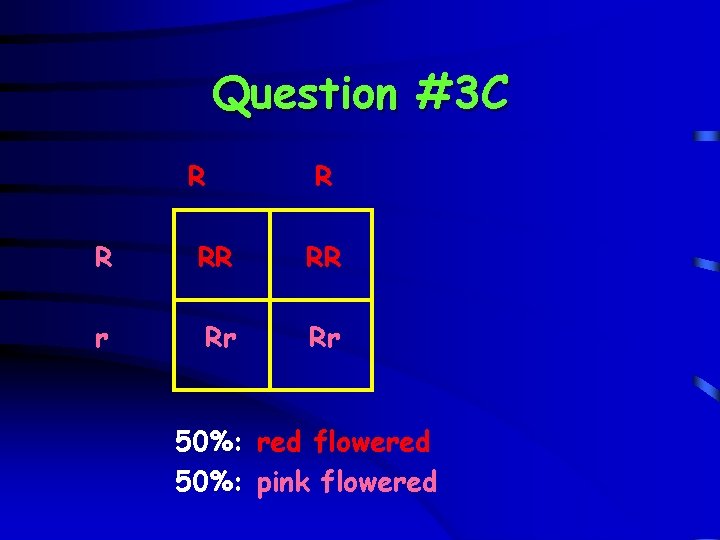Question #3 C R RR RR r Rr Rr 50%: red flowered 50%: pink