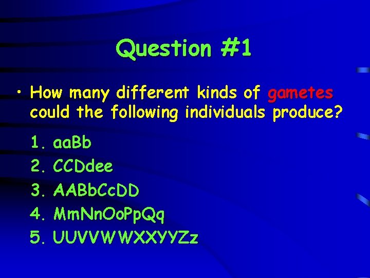 Question #1 • How many different kinds of gametes could the following individuals produce?