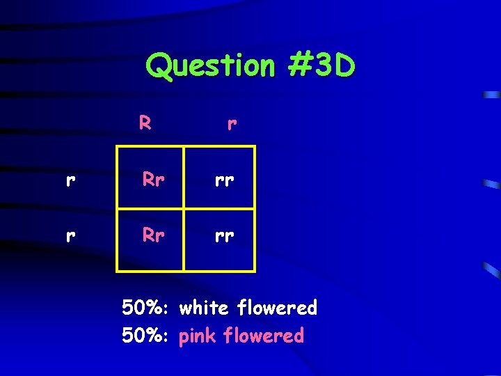 Question #3 D R r r Rr rr 50%: white flowered 50%: pink flowered