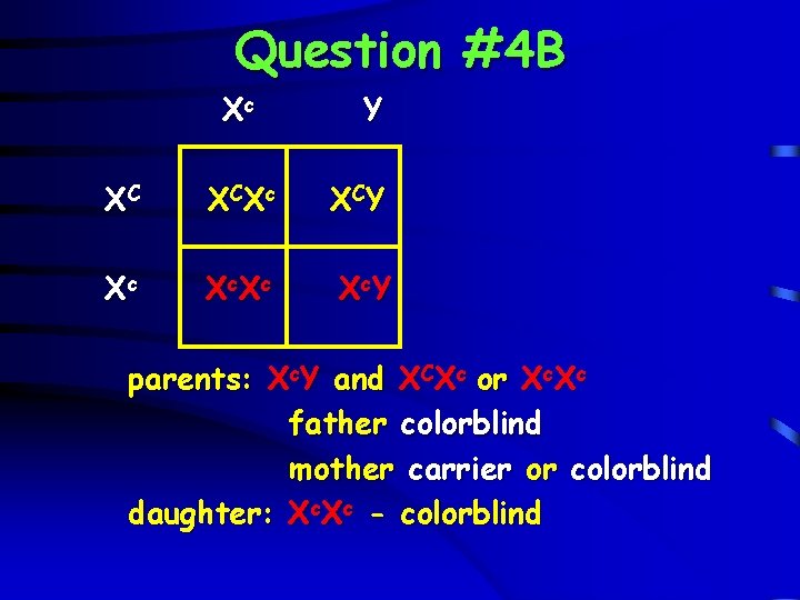 Question #4 B Xc Y XC X CX c X CY Xc X c.