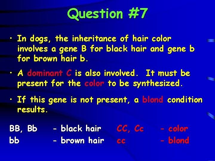 Question #7 • In dogs, the inheritance of hair color involves a gene B
