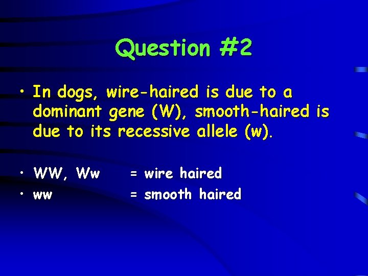 Question #2 • In dogs, wire-haired is due to a dominant gene (W), smooth-haired