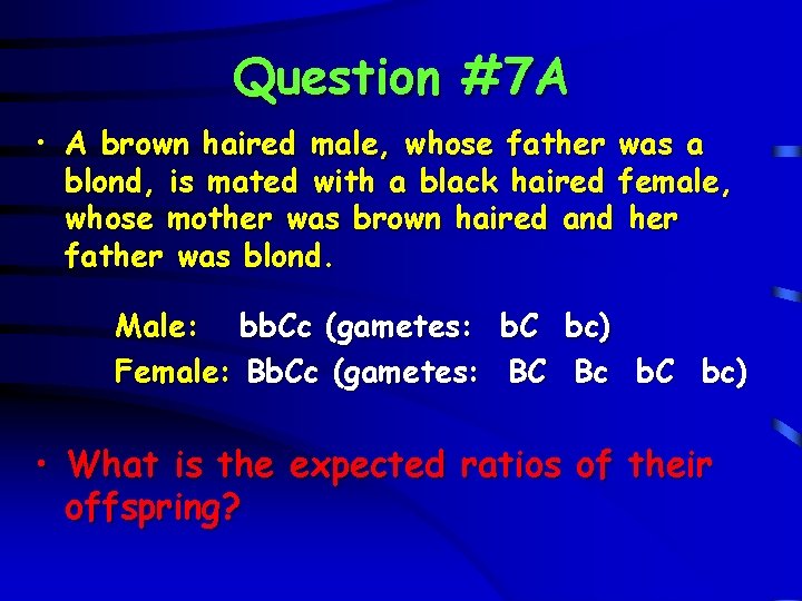 Question #7 A • A brown haired male, whose father was a blond, is