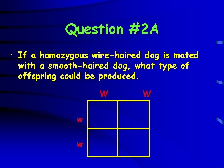 Question #2 A • If a homozygous wire-haired dog is mated with a smooth-haired