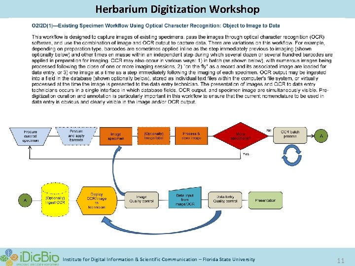 Herbarium Digitization Workshop Institute for Digital Information & Scientific Communication – Florida State University