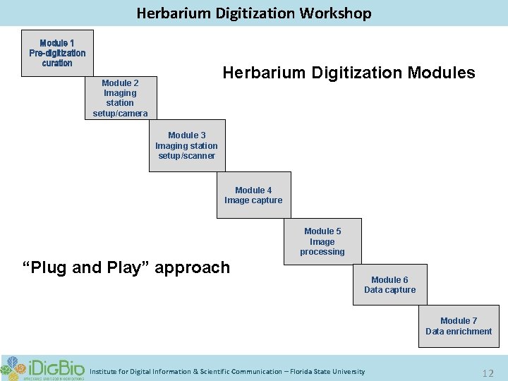 Herbarium Digitization Workshop Module 1 Pre-digitization curation Herbarium Digitization Modules Module 2 Imaging station
