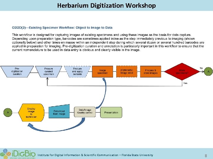 Herbarium Digitization Workshop Institute for Digital Information & Scientific Communication – Florida State University