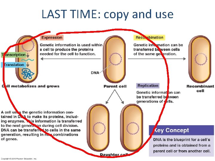 LAST TIME: copy and use 