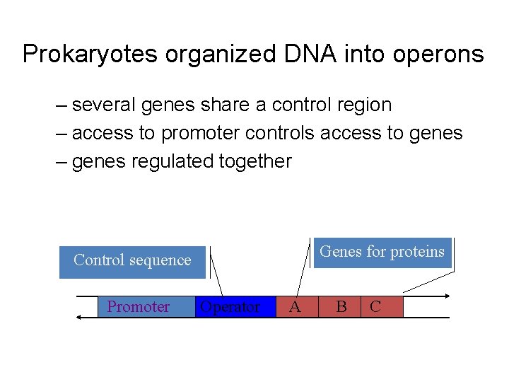 Prokaryotes organized DNA into operons – several genes share a control region – access