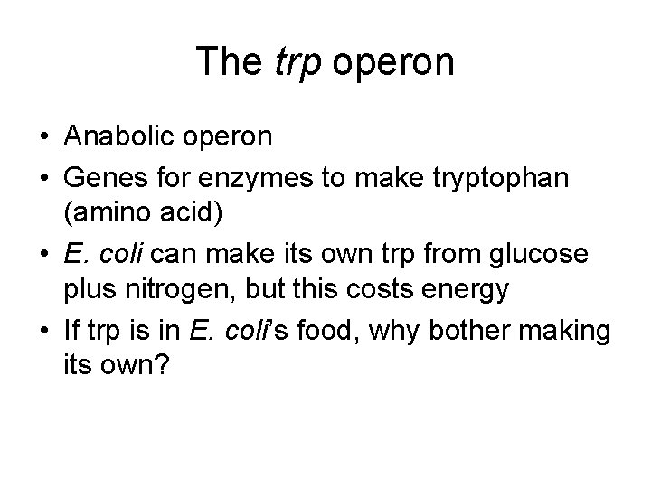 The trp operon • Anabolic operon • Genes for enzymes to make tryptophan (amino
