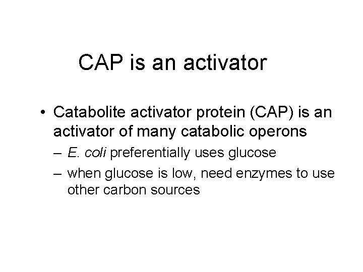 CAP is an activator • Catabolite activator protein (CAP) is an activator of many