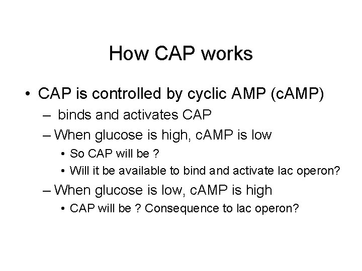 How CAP works • CAP is controlled by cyclic AMP (c. AMP) – binds