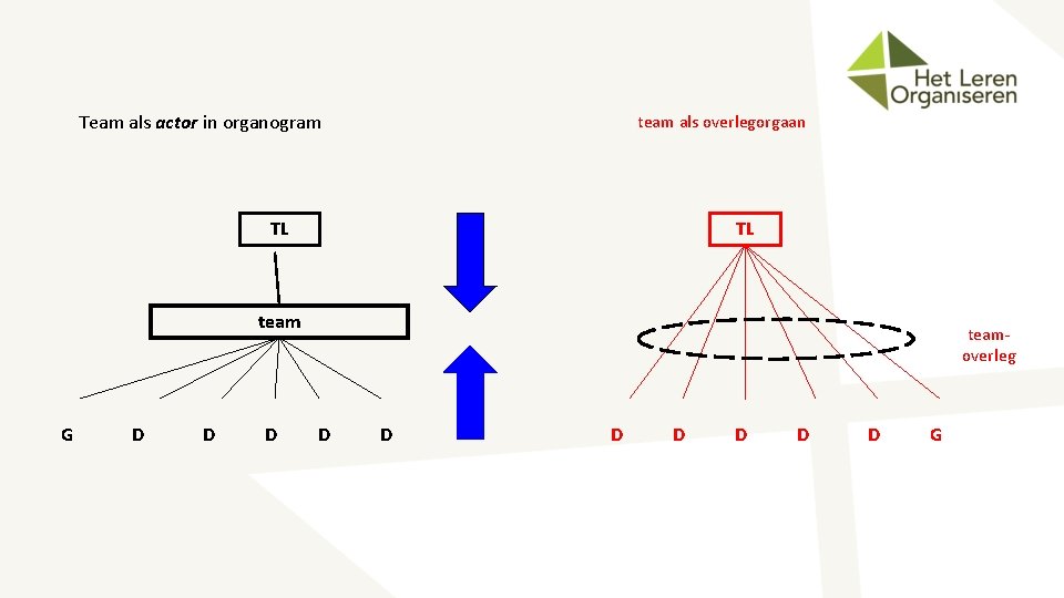 Team als actor in organogram team als overlegorgaan TL TL team G D D