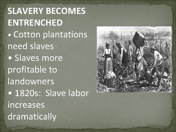 SLAVERY BECOMES ENTRENCHED • Cotton plantations need slaves • Slaves more profitable to landowners