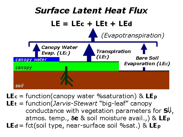 Surface Latent Heat Flux LE = LEc + LEt + LEd (Evapotranspiration) Canopy Water