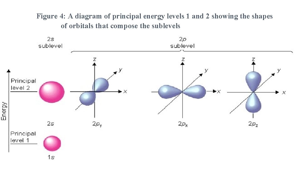 Figure 4: A diagram of principal energy levels 1 and 2 showing the shapes