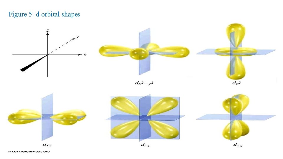 Figure 5: d orbital shapes 