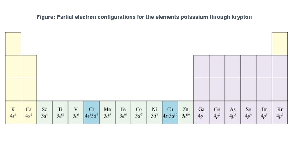 Figure: Partial electron configurations for the elements potassium through krypton 