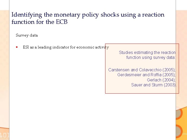 Identifying the monetary policy shocks using a reaction function for the ECB Survey data