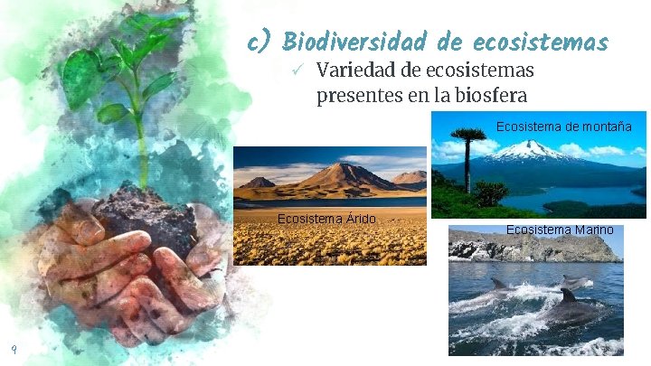 c) Biodiversidad de ecosistemas ü Variedad de ecosistemas presentes en la biosfera Ecosistema de
