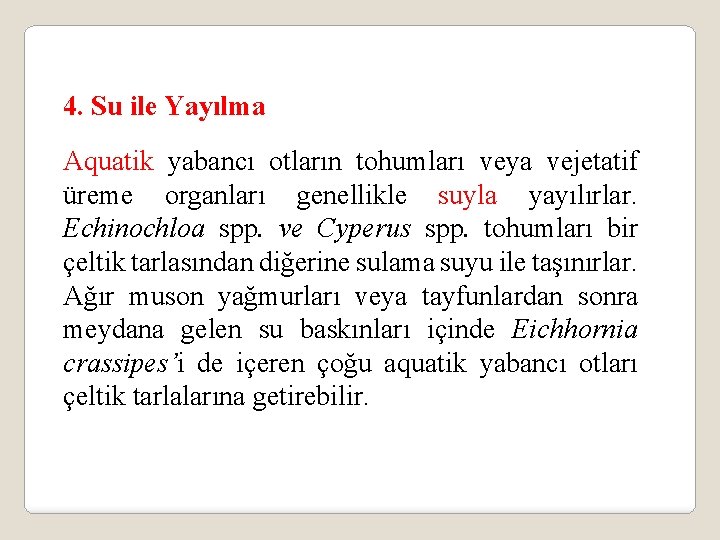 4. Su ile Yayılma Aquatik yabancı otların tohumları veya vejetatif üreme organları genellikle suyla