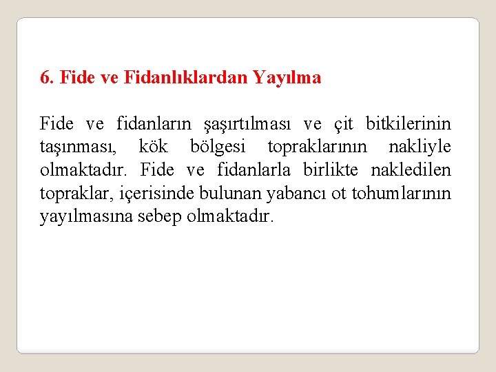 6. Fide ve Fidanlıklardan Yayılma Fide ve fidanların şaşırtılması ve çit bitkilerinin taşınması, kök