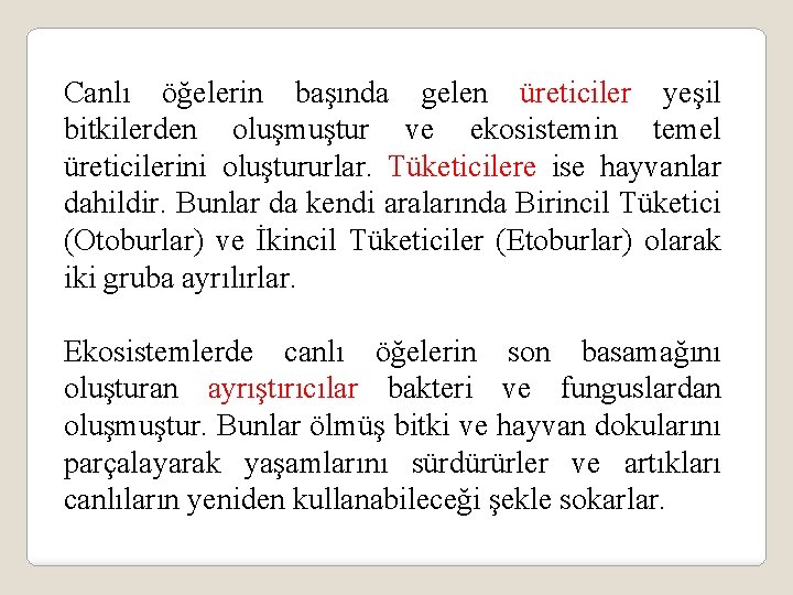 Canlı öğelerin başında gelen üreticiler yeşil bitkilerden oluşmuştur ve ekosistemin temel üreticilerini oluştururlar. Tüketicilere