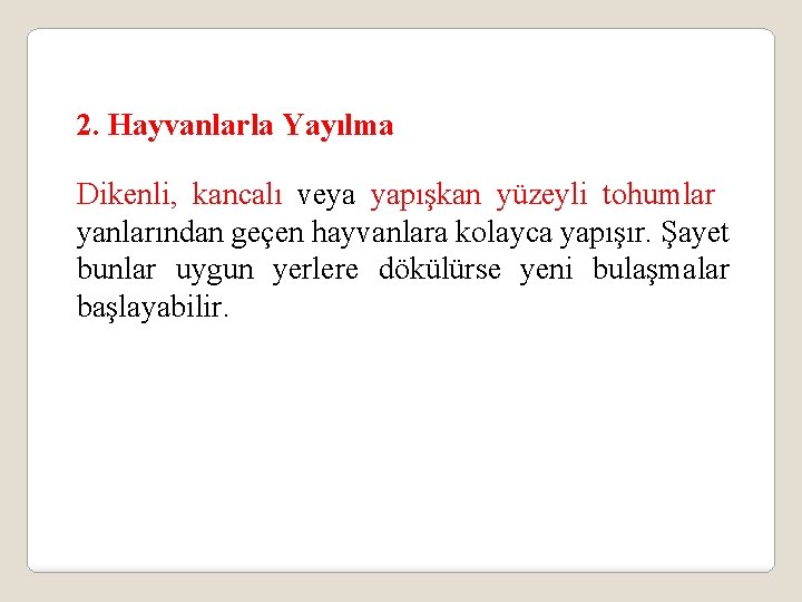 2. Hayvanlarla Yayılma Dikenli, kancalı veya yapışkan yüzeyli tohumlar yanlarından geçen hayvanlara kolayca yapışır.
