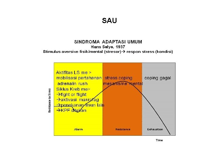 SAU 