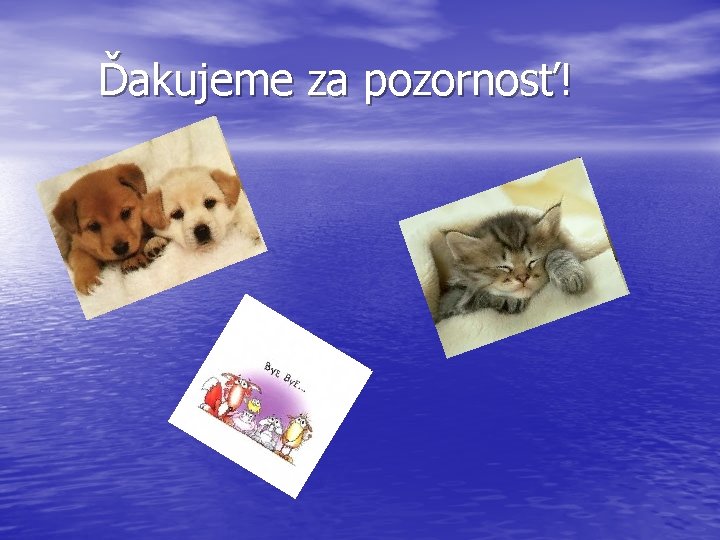 Ďakujeme za pozornosť! 