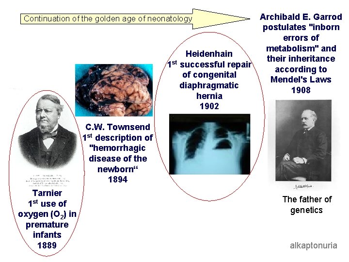 Archibald E. Garrod postulates "inborn errors of metabolism" and Heidenhain their inheritance 1 st