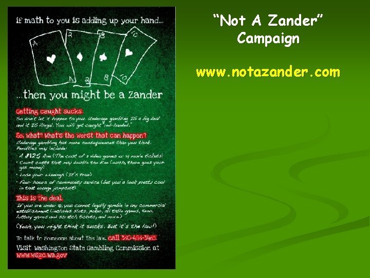 “Not A Zander” Campaign www. notazander. com 