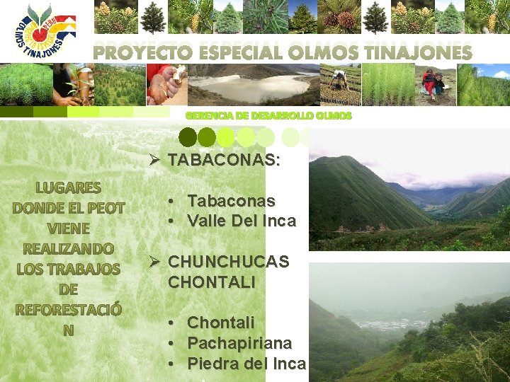 PROYECTO ESPECIAL OLMOS TINAJONES GERENCIA DE DESARROLLO OLMOS Ø TABACONAS: LUGARES DONDE EL PEOT