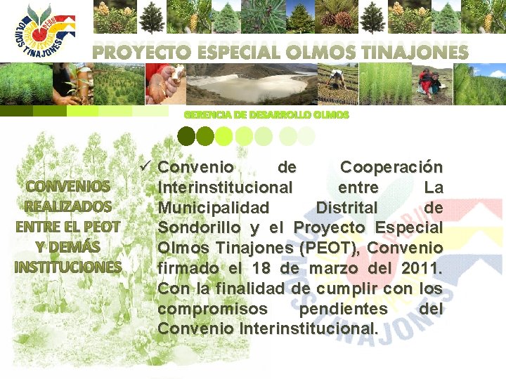 PROYECTO ESPECIAL OLMOS TINAJONES GERENCIA DE DESARROLLO OLMOS ü Convenio de Cooperación CONVENIOS Interinstitucional